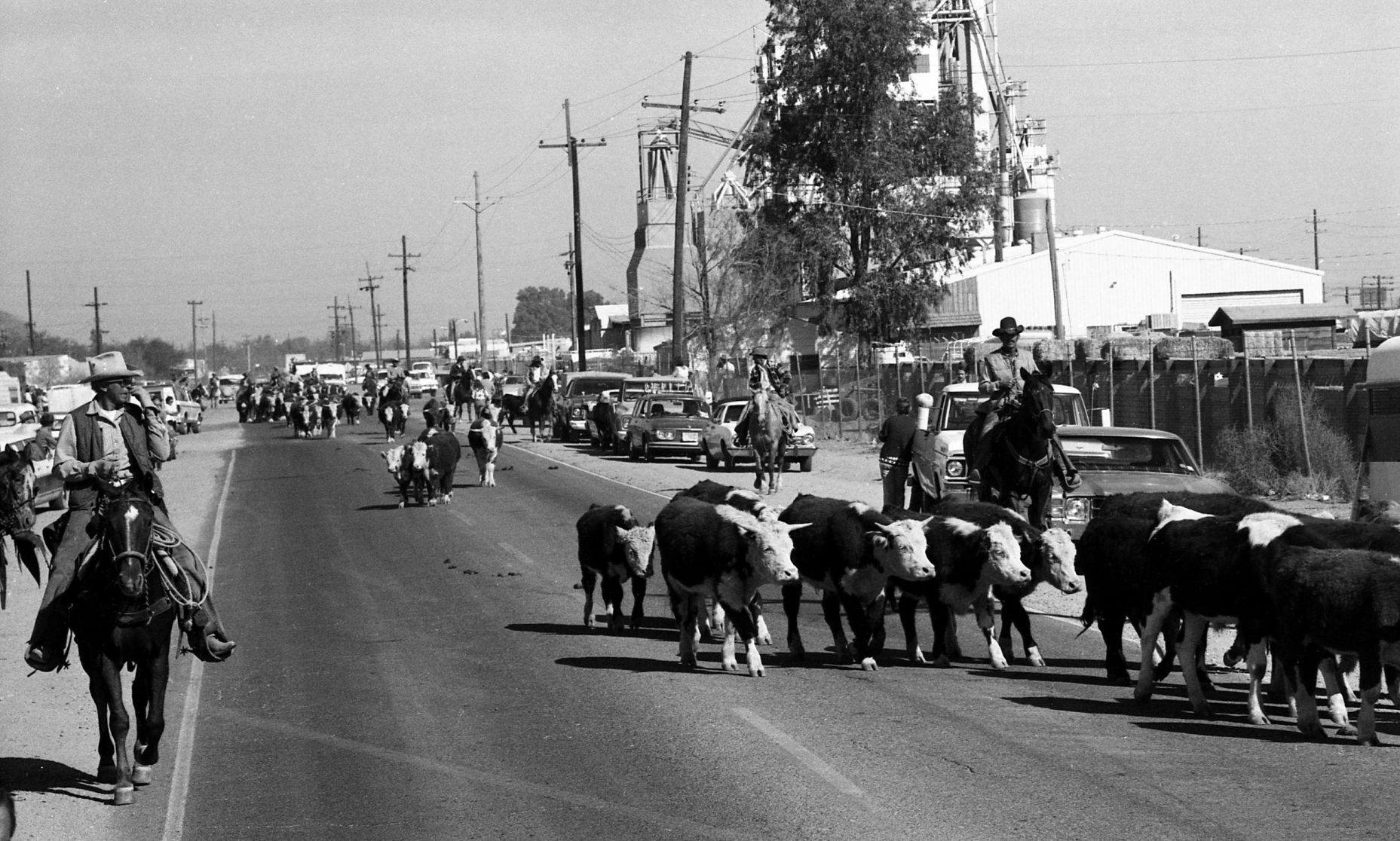 Ruthrauff Road, 1975